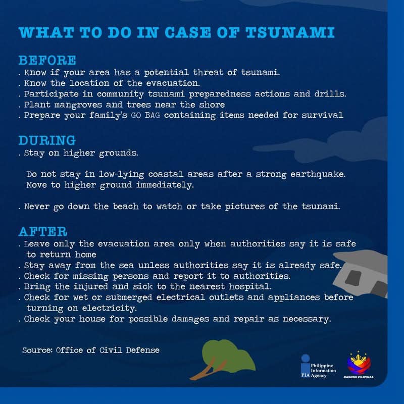 tsunami 2 image 23