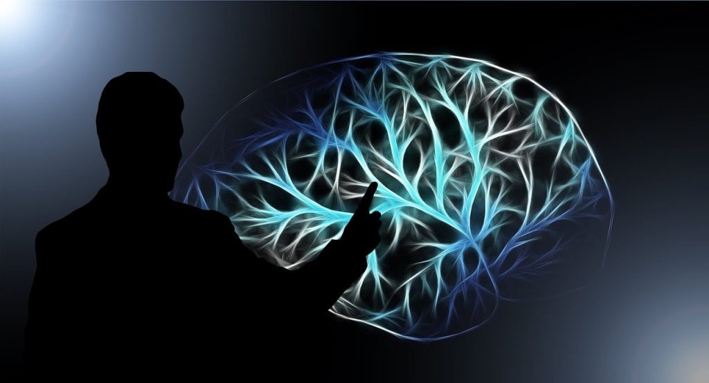 brain, turn on, training, read, a book, school, to learn, think, reflect, judge, recall, wonder, strain your mind, give thought, weigh up, switch, brain, brain, brain, brain, brain, training, reflect, reflect, reflect, judge, judge, judge, judge, recall, recall, recall, wonder, switch